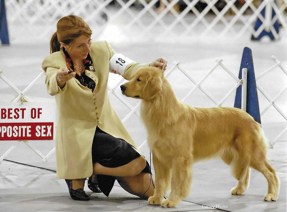 CH Foxfire Master's Winner Takes All canela