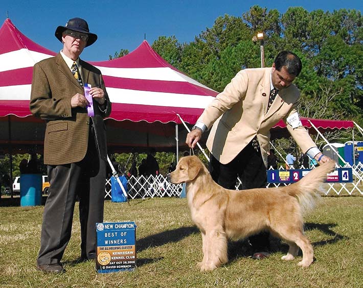 CH Foxfire Master's Winner Takes All canela