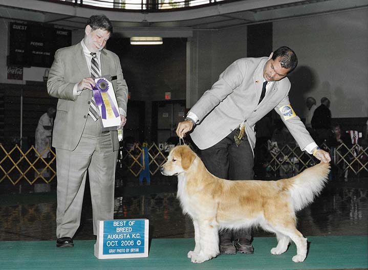 CH Foxfire Master's Winner Takes All canela