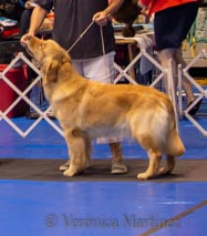 Prism's Caribbean Leap into the Waves CD, splash 