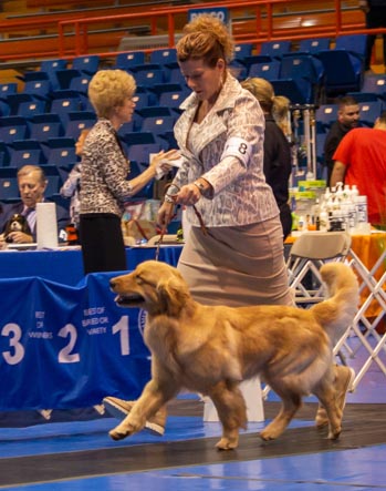 Prism's Caribbean Leap into the Waves CD, splash 