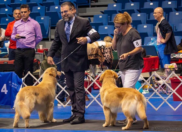 Prism's Caribbean Leap into the Waves CD and capi