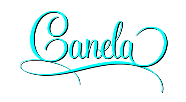 CH. Foxfire Master's Winner Takes All CCA, canela, caribbean golden retrievers in puerto rico