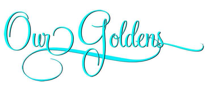 our goldens Caribbean Golden Retrievers